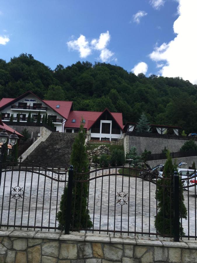 Casa Albert Hotel Lepşa Kültér fotó