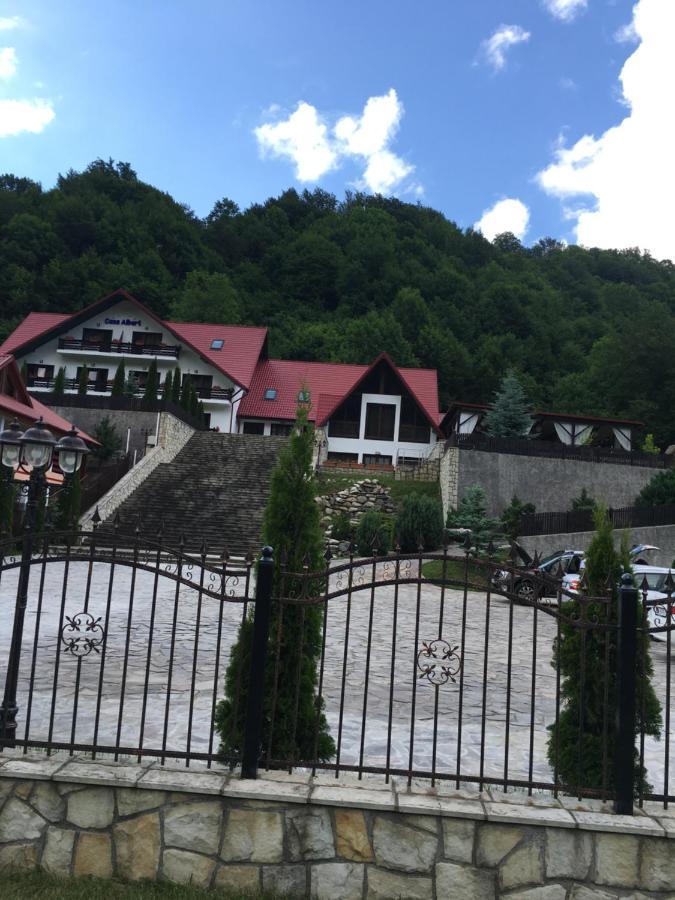 Casa Albert Hotel Lepşa Kültér fotó